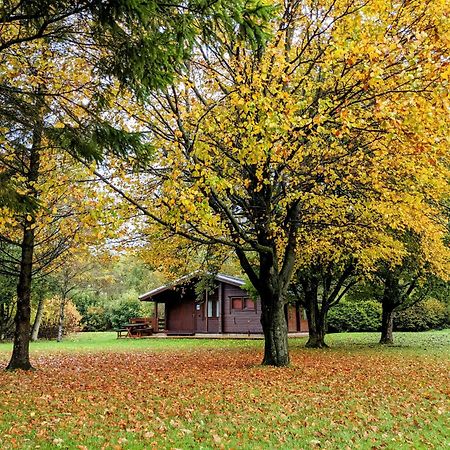 Pinecroft Lodges Ingleton  Eksteriør bilde
