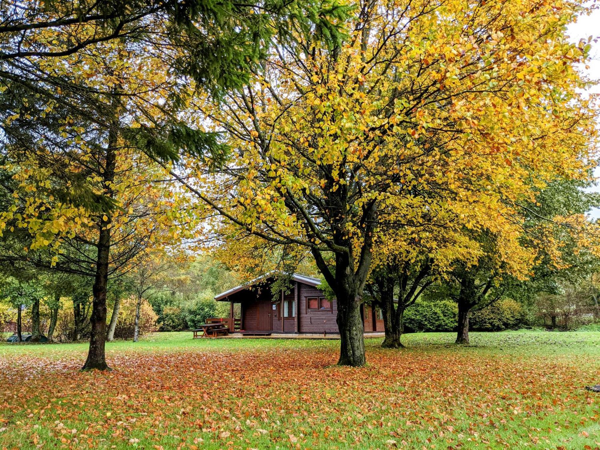 Pinecroft Lodges Ingleton  Eksteriør bilde
